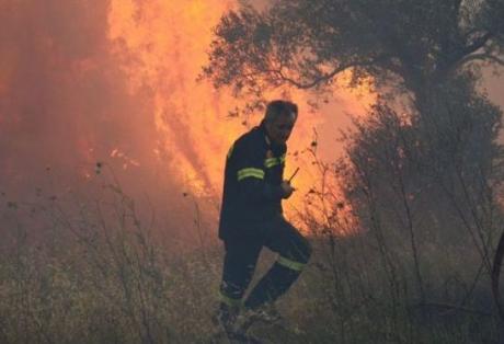 Φωτιά σε δασική περιοχή στην Έδεσσα